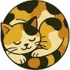 Cute Calico Cat