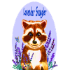 Raccoon lover of lavender