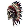 Native American Skull