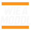 Frankenwaldshirts - Wie a Moddl
