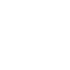 Wolf in voller Pracht