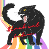 Black cat
