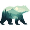 Bear Nature