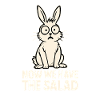Funny bunny design with saying