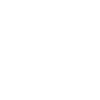 Dolphin Sunglasses
