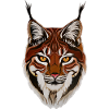 Lynx - Europe's largest big cat