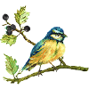 Bunter Vogel