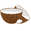 Coconut Halves – Tropical Fruit Motif