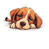 Innan du frågar, nej, ingen hund, roligt, ordspråk, humor