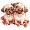Pug