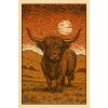Scottish Highlander Cattle