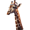 Sporty Giraffe