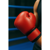 Boxen - Handschuh