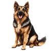 German Shepherd