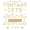 1975 Vintage Retro fødselsdagsgave
