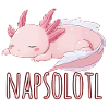 Nap Hard, Swim Later