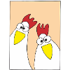 Chickens cluck