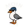 Moin Seagull