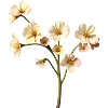 Fleurose