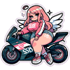 ライダーガール raidaa gaaru