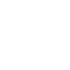 Ant