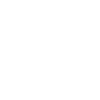 A Falcon