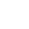 Salamandre de feu