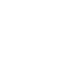 Un renard