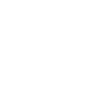 A gecko
