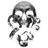 Skull with tentacles – dark gothic art