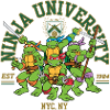 Teenage Mutant Ninja Turtles Ninja University