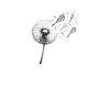 Tennis Dandelion Tennis Racket Funny Tennis