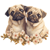 Pug pair pug