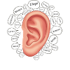 Father's ear for excuses.