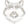 Cool Raccoon Illustration Sunglasses Animal