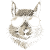 Cool Squirrel Wearing Sunglasses Illustration