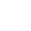 POPE Leo