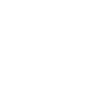 Border Collie mignon