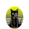 The Starry Cat Singer