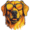 Golden Retriever with Sunglasses
