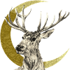 Hirsch