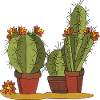 Blumen