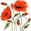Blumen