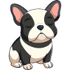 Bulldog francese nero e beige che dorme