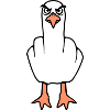 Möwe Mittelfinger Beleidigung Stinkefinger frech