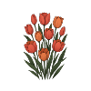 Tulips