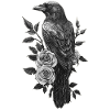 Raven