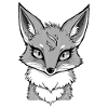 Gray Fox