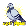 Super Pigeon