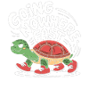 Turtle pace in style
